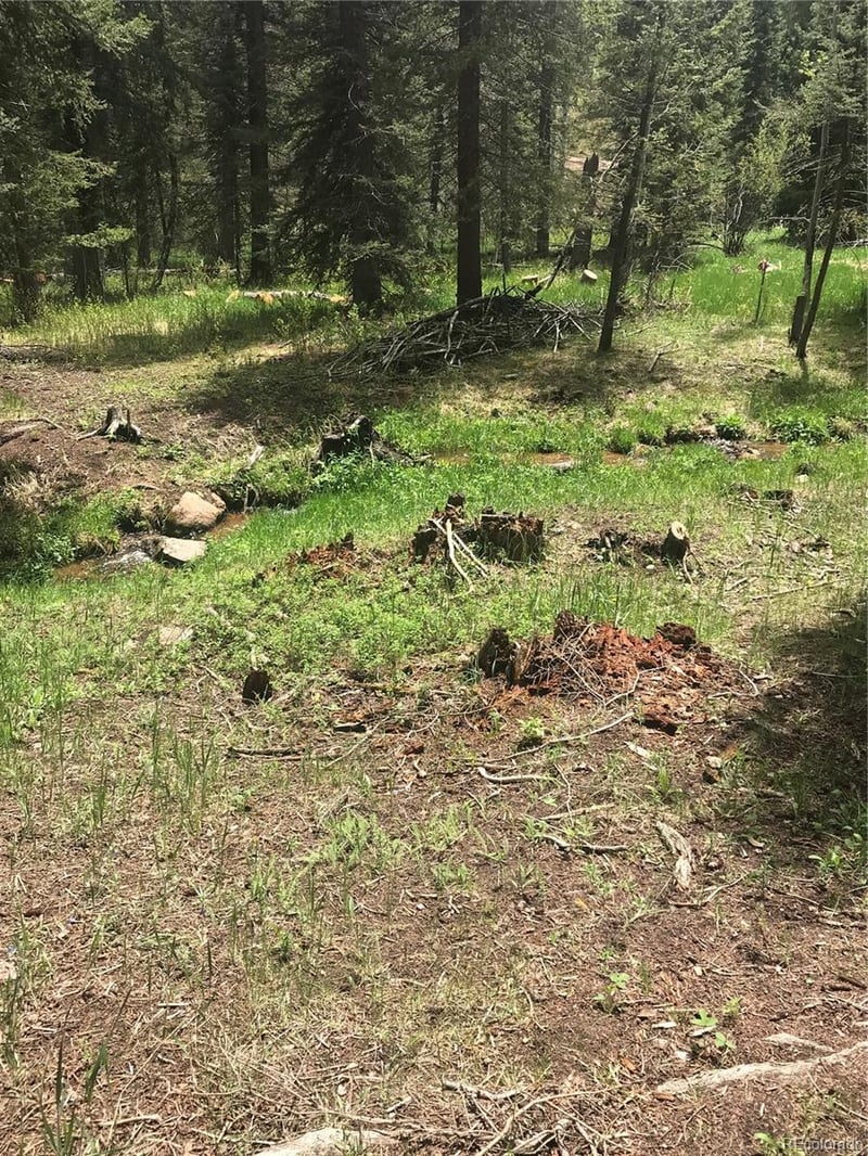 0 Shadow Mountain Dr, Conifer, CO 80433