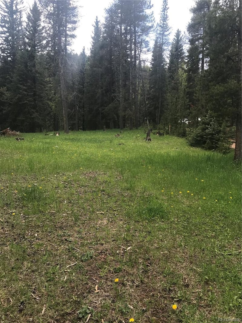 0 Shadow Mountain Dr, Conifer, CO 80433