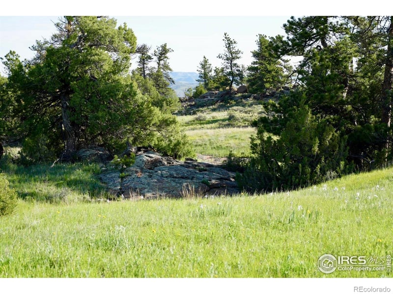 0 82 E Rd, Livermore, CO 80536