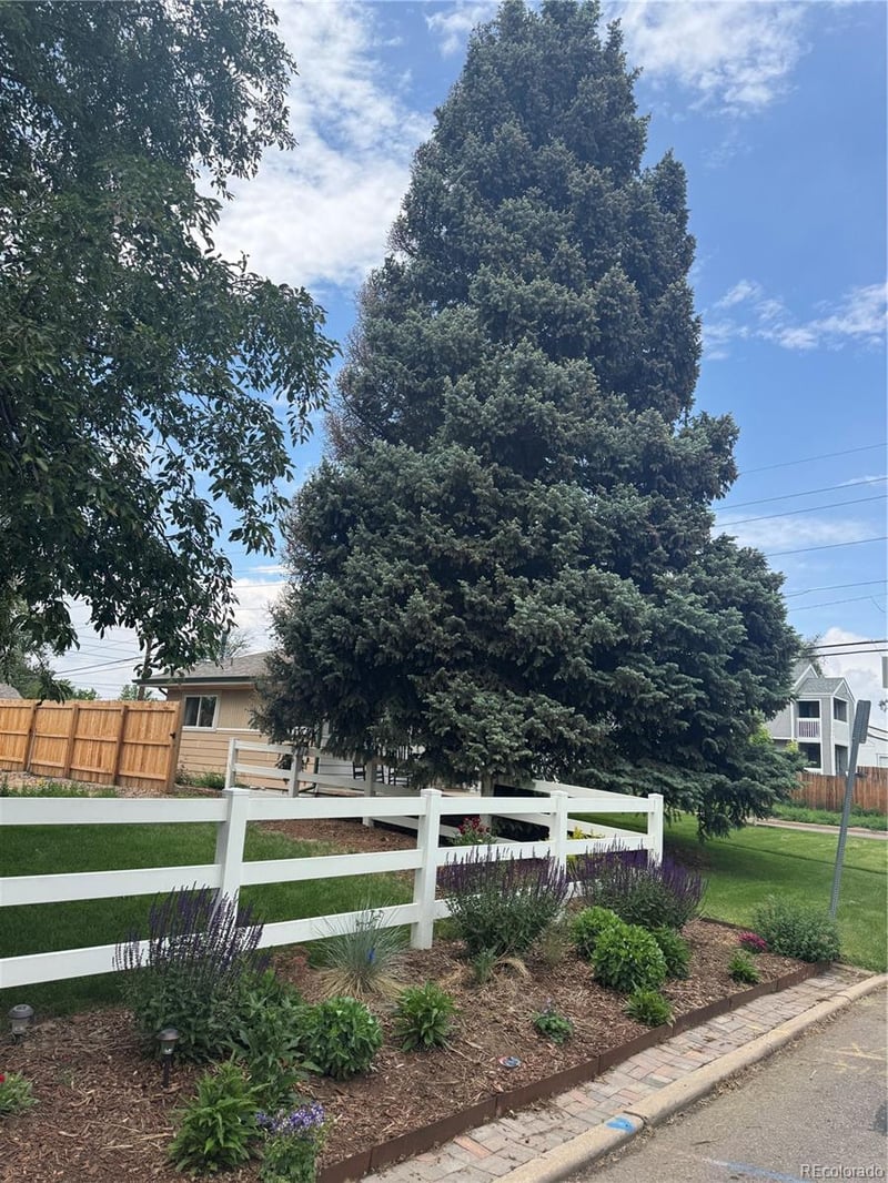 1357 Valentia St, Denver, CO 80220