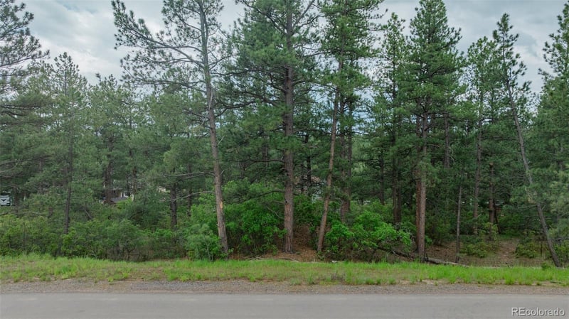 648 Copper Fox Pl, Larkspur, CO 80118