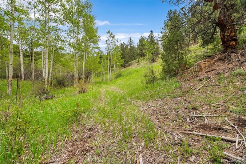 000 Spirit Horse Trl, Golden, CO 80403