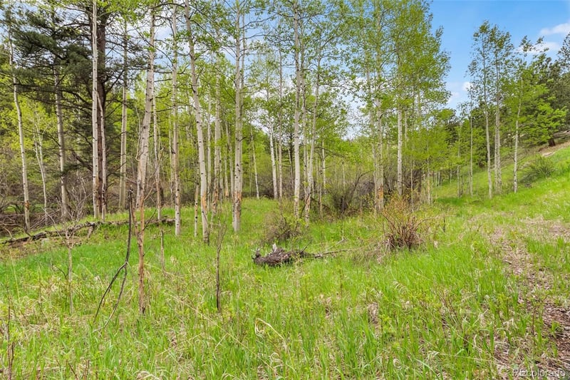 000 Spirit Horse Trl, Golden, CO 80403