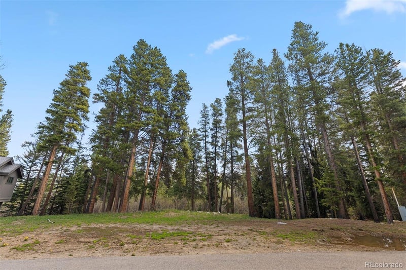 28 Tall Pines Dr, Breckenridge, CO 80424