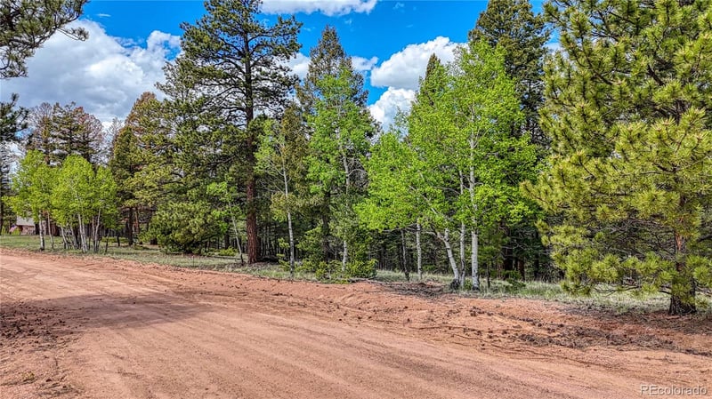 26 Eldorado Cir, Florissant, CO 80816