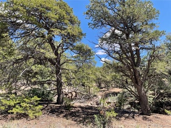 801 Sunrise , Crestone, CO 81131