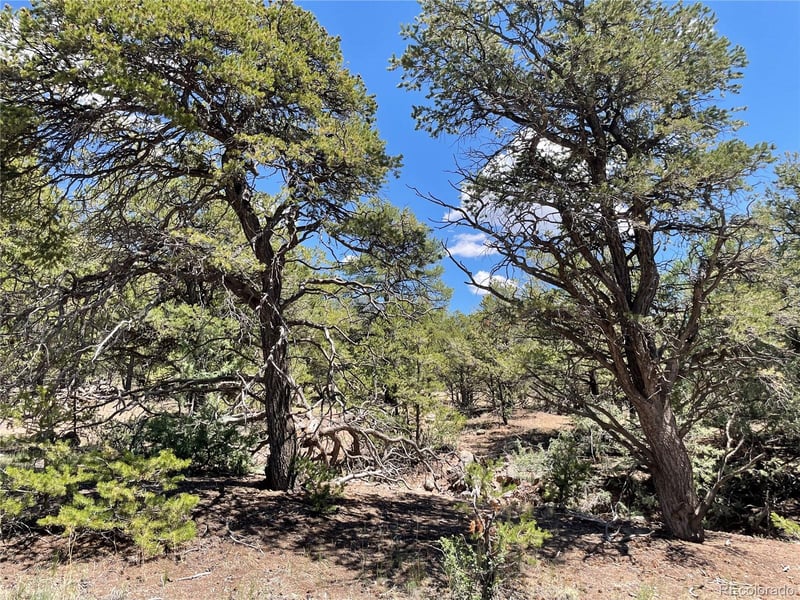 801 Sunrise , Crestone, CO 81131