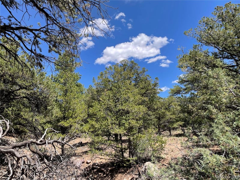 801 Sunrise , Crestone, CO 81131