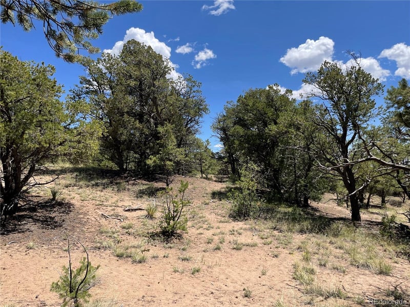 801 Sunrise , Crestone, CO 81131