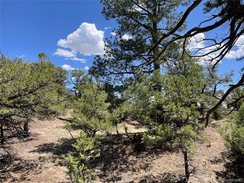 801 Sunrise , Crestone, CO 81131