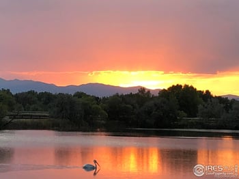 116 Cobble Ct, Windsor, CO 80550