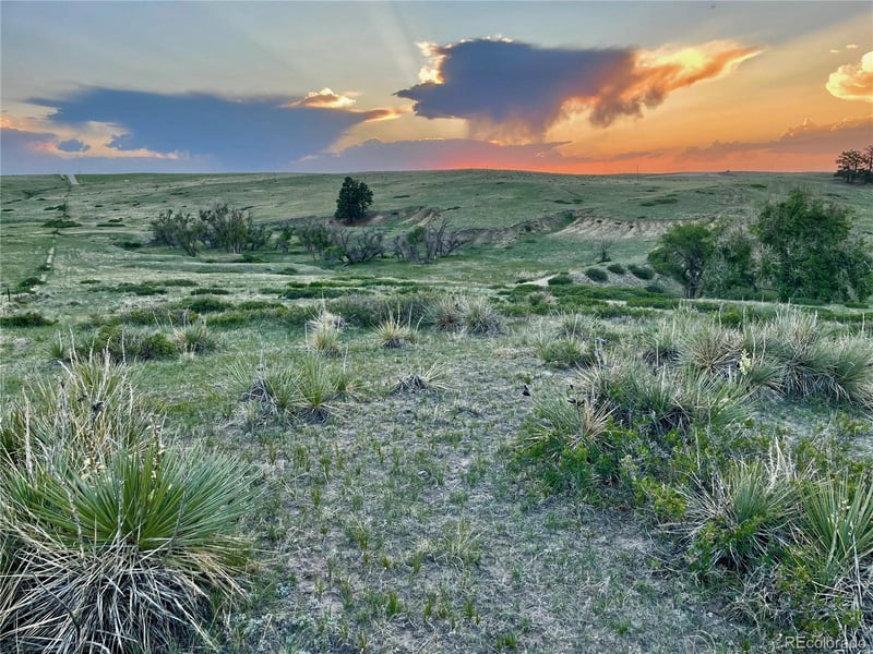 0 Lot 20 Stillness Loop Lot 20, Kiowa, CO 80117