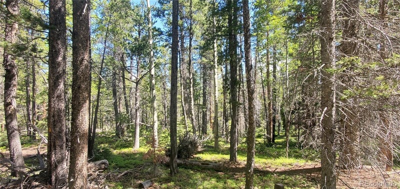 Lot 2914 Forbes Loop Lot 2914, Fort Garland, CO 81133