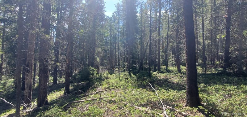 Lot 2914 Forbes Loop Lot 2914, Fort Garland, CO 81133