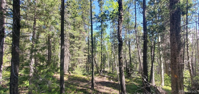 Lot 2914 Forbes Loop Lot 2914, Fort Garland, CO 81133