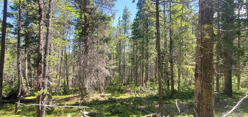 Lot 2914 Forbes Loop Lot 2914, Fort Garland, CO 81133