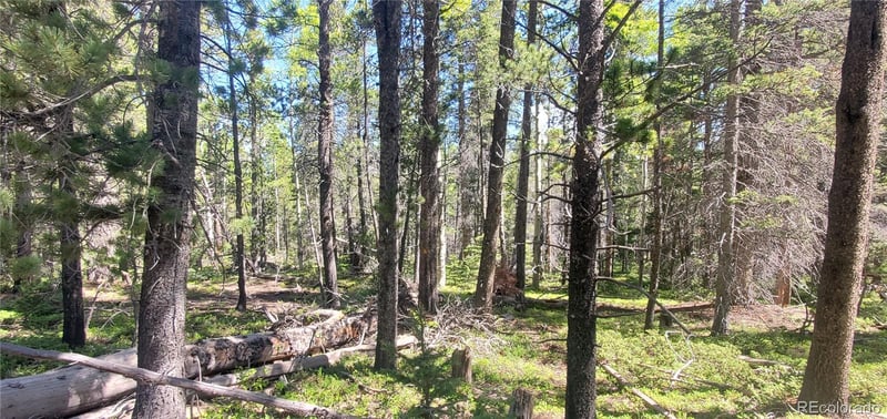 Lot 2914 Forbes Loop Lot 2914, Fort Garland, CO 81133