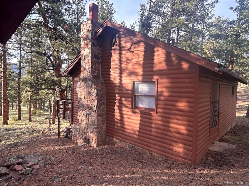 861 Happy Top Trl, Bailey, CO 80421
