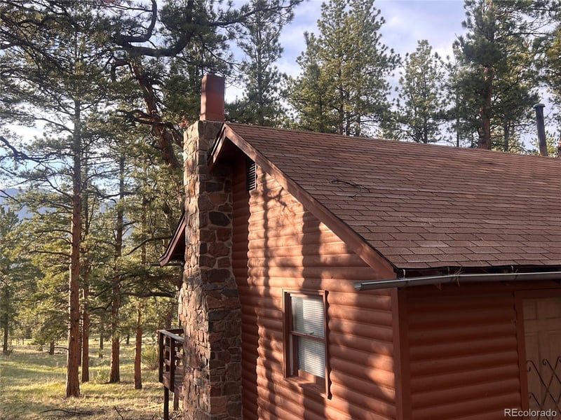 861 Happy Top Trl, Bailey, CO 80421