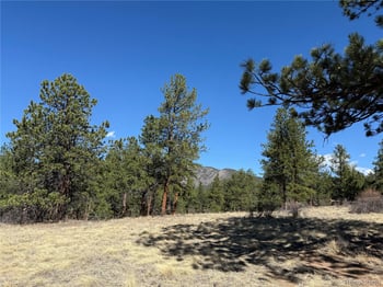 861 Happy Top Trl, Bailey, CO 80421