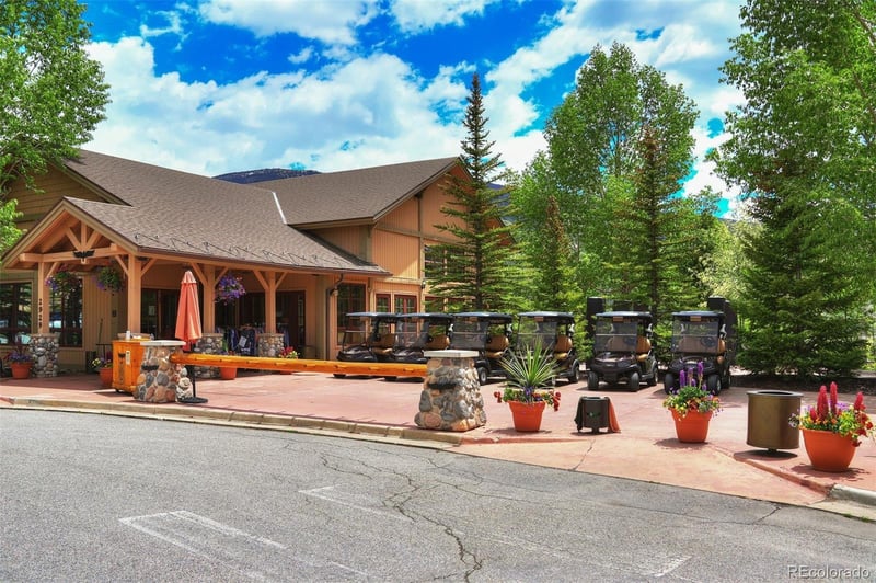 180 Robin Dr #180, Silverthorne, CO 80498