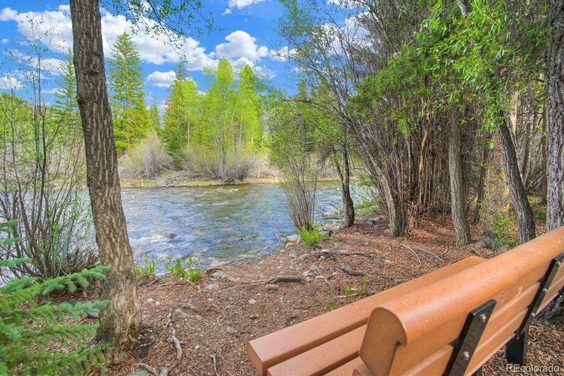 180 Robin Dr #180, Silverthorne, CO 80498