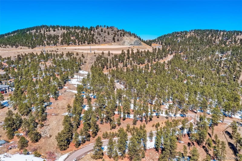 1493 Pinedale Ranch Cir, Evergreen, CO 80439