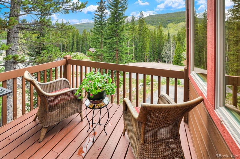 322 Davis Ct, Breckenridge, CO 80424