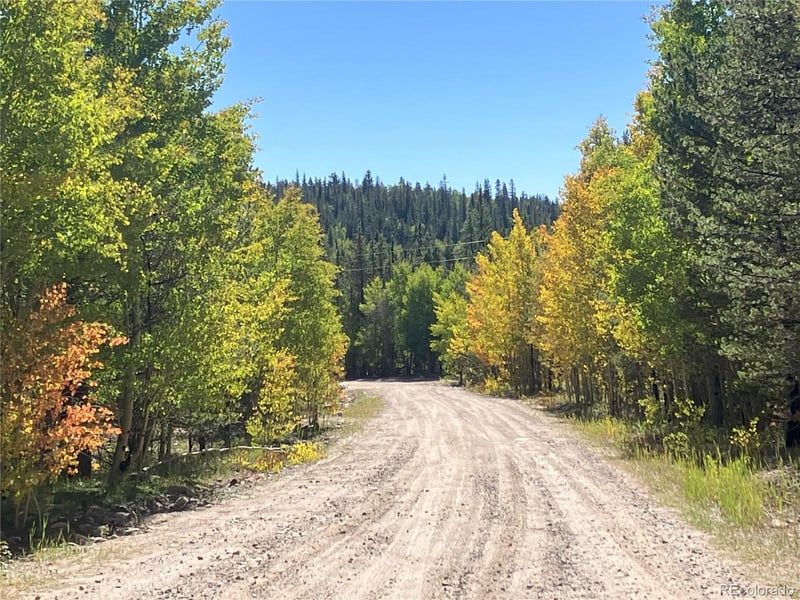 89 Ski Doo Rd, Fairplay, CO 80440
