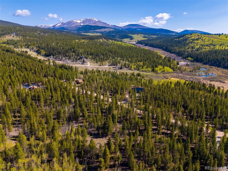 89 Ski Doo Rd, Fairplay, CO 80440
