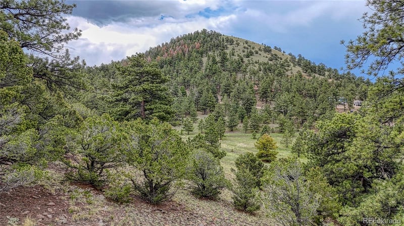 44 Honeysuckle Ter, Westcliffe, CO 81252