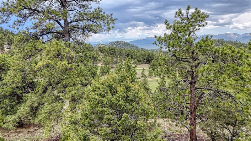 44 Honeysuckle Ter, Westcliffe, CO 81252