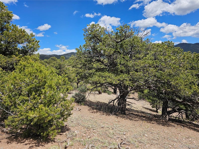 3953 Kruest Rd, Fort Garland, CO 81133