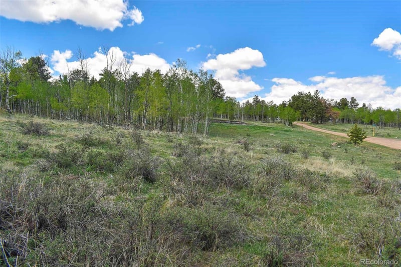 130 Rock Dr, Guffey, CO 80820