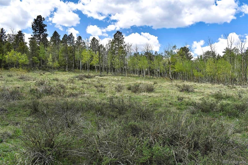 130 Rock Dr, Guffey, CO 80820