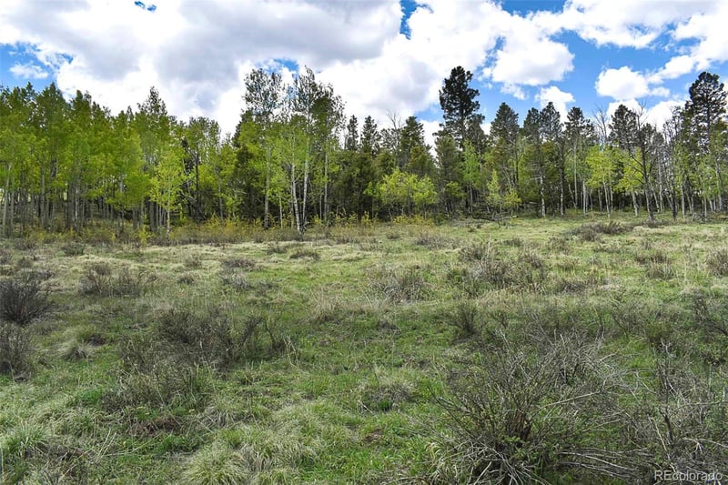 130 Rock Dr, Guffey, CO 80820