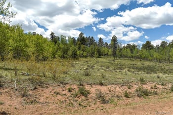 130 Rock Dr, Guffey, CO 80820