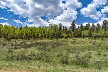 130 Rock Dr, Guffey, CO 80820