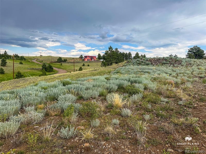 252 Mcintyre Dr, Florissant, CO 80816