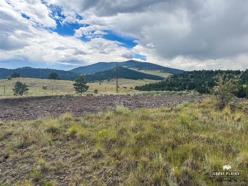252 Mcintyre Dr, Florissant, CO 80816