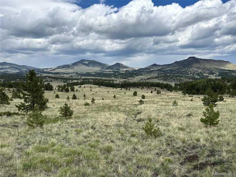 706 Bristlecone Rd, Guffey, CO 80820