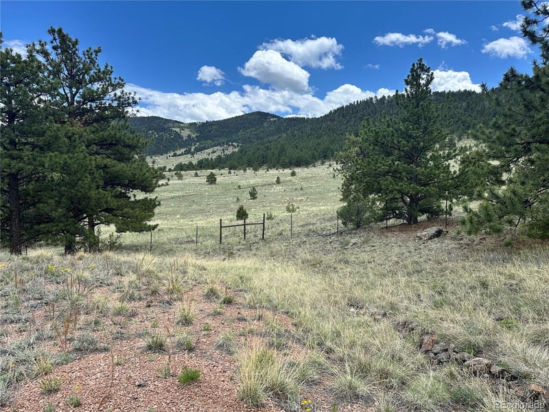 706 Bristlecone Rd, Guffey, CO 80820