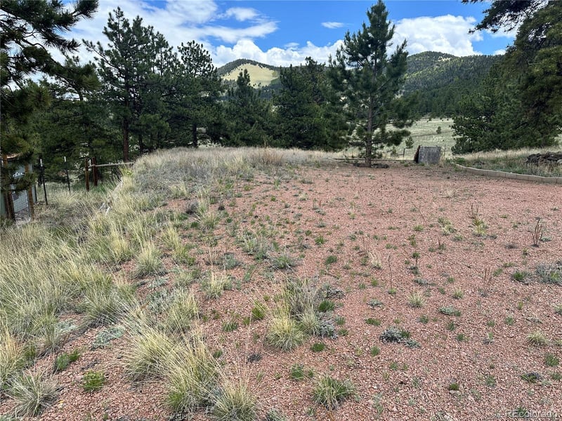 706 Bristlecone Rd, Guffey, CO 80820