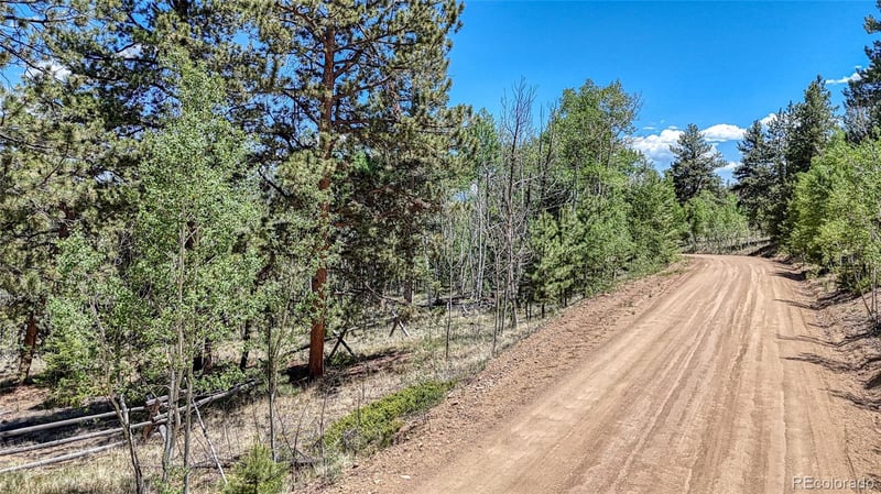2338 Fitzsimmons Rd, Hartsel, CO 80449
