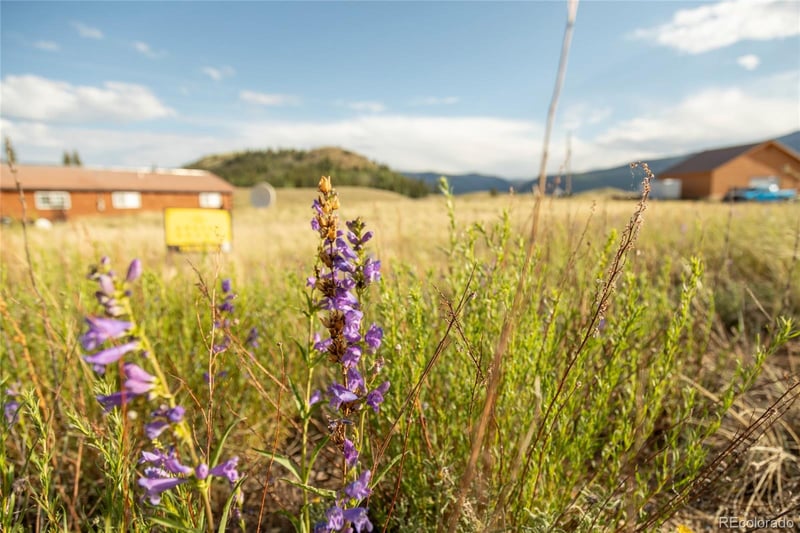 438 Spruce Dr, Creede, CO 81130