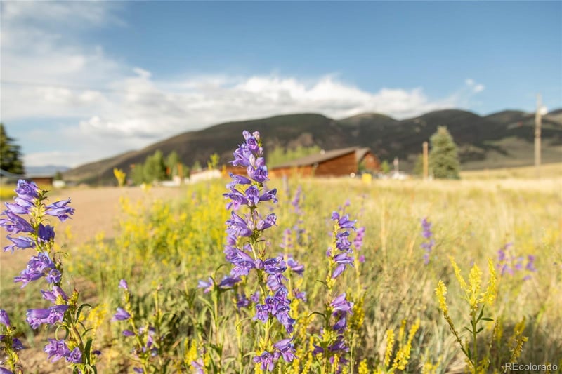 438 Spruce Dr, Creede, CO 81130