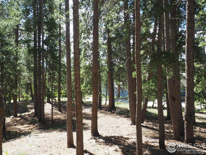 Caesar Rd, Black Hawk, CO 80422