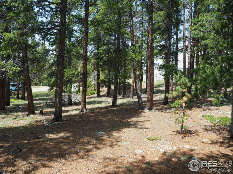 Caesar Rd, Black Hawk, CO 80422