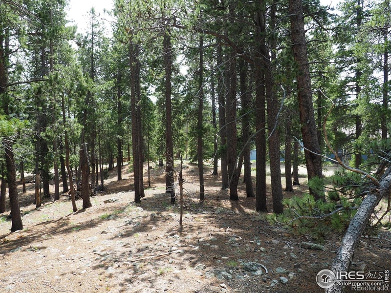 Caesar Rd, Black Hawk, CO 80422