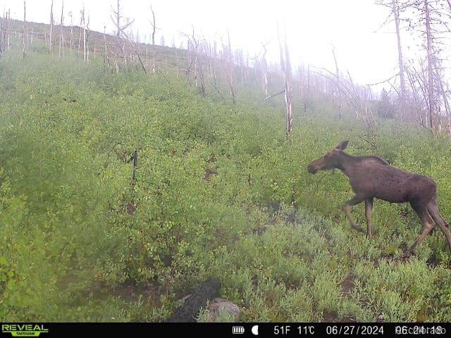 582 County Road 414, Granby, CO 80446